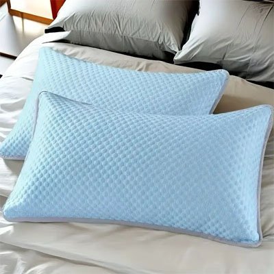 Taie d'oreiller | Coton Bio Premium - Lit Paradis